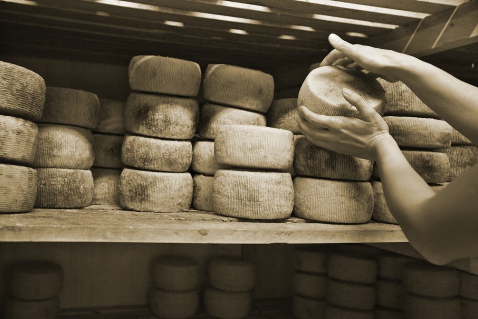 Il Caseificio Pinzani San Gimgnano, Siena, produce formaggi a base di latte crudo utilizzando materie prime toscane di alta qualità