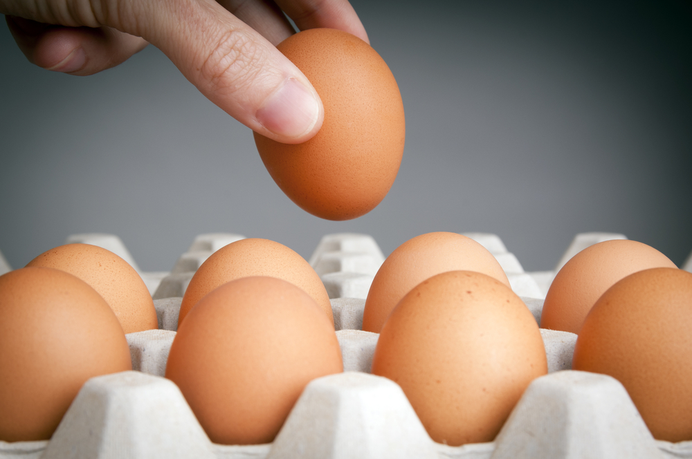 Consigli pratici per tutti i consumatori: ecco come leggere i numeri, o meglio il codice identificativo, sui gusci delle uova di gallina che compriamo.