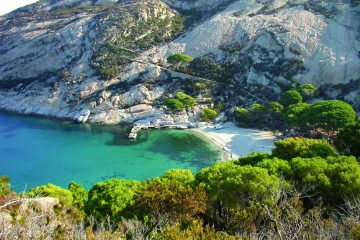 E' possibile visitare l'Isola di Montecristo, riserva biogenetica della Toscana, solo con minicrociere organizzate e accompagnati dall'Autorità Forestale