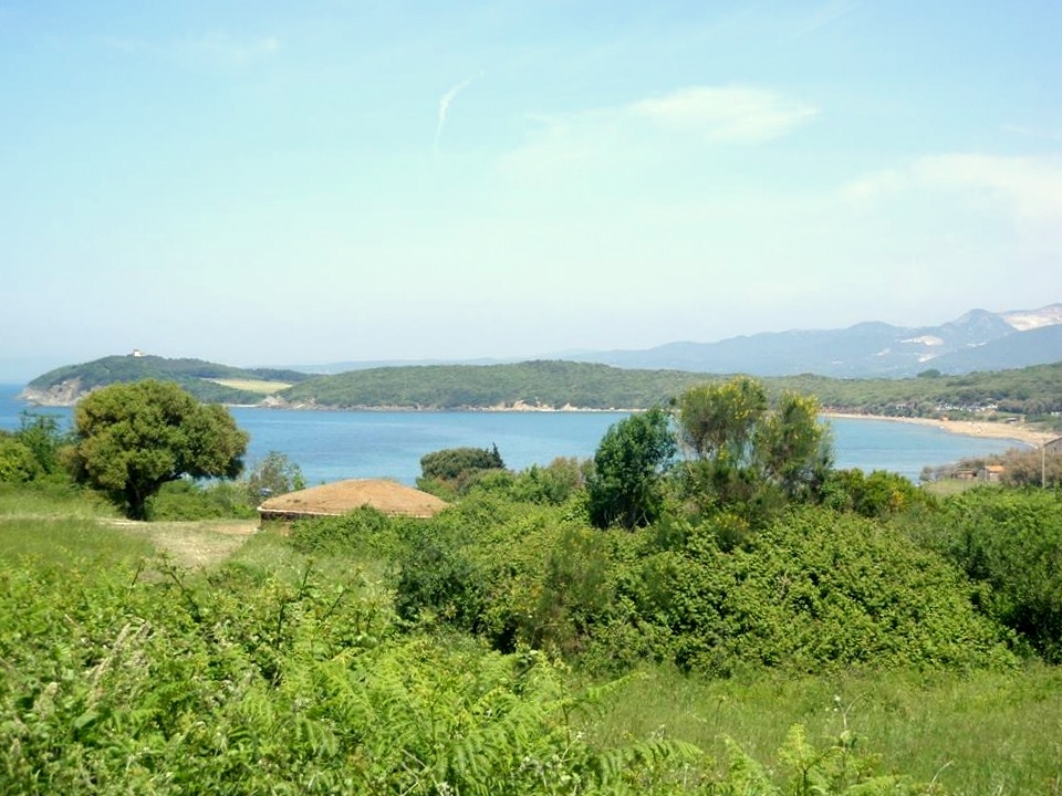 Visita al parco archeologico di Barattii e Populonia, Livorno, nell'arcipelago toscano