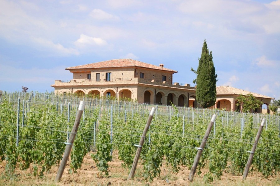 Tour di Cantine Aperte 2017 con le aziende vitivinicole toscane selezionate da TuscanyPeople, dal Chianti a Lucca, dalla Maremma a Montalcino