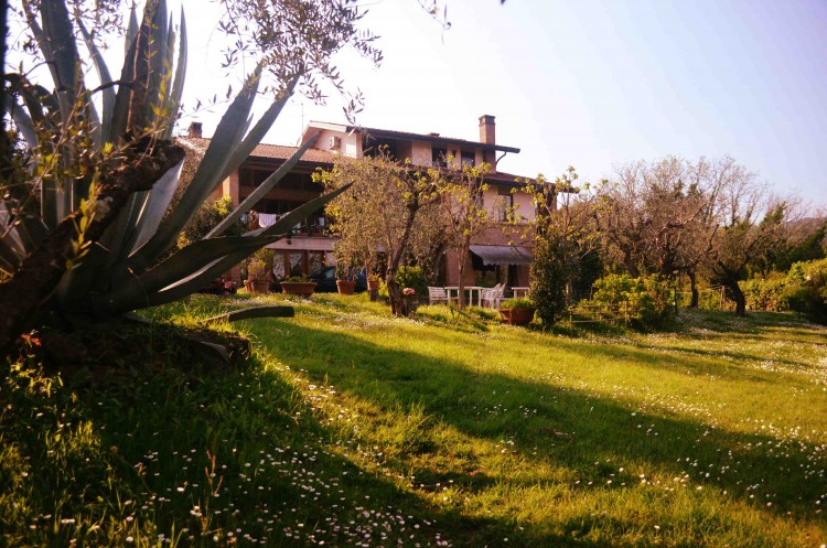 Agriturismo Olivanda, angolo di paradiso toscano, circondato da verdi colline e uliveti secolari, a 5 minuti dal centro di Montecatini Terme
