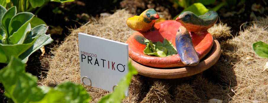 Terriccio Pratiko rappresenta la rivoluzione del giardinaggio urbano. In questa intervista ce ne parla l'inventore Jacopo Mei, toscano DOC.