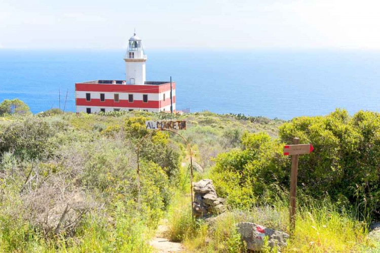 Sull'Isola del Giglio si trovano 3 fari: Vaccarecce, Fenaio e il Faro del Capelrosso