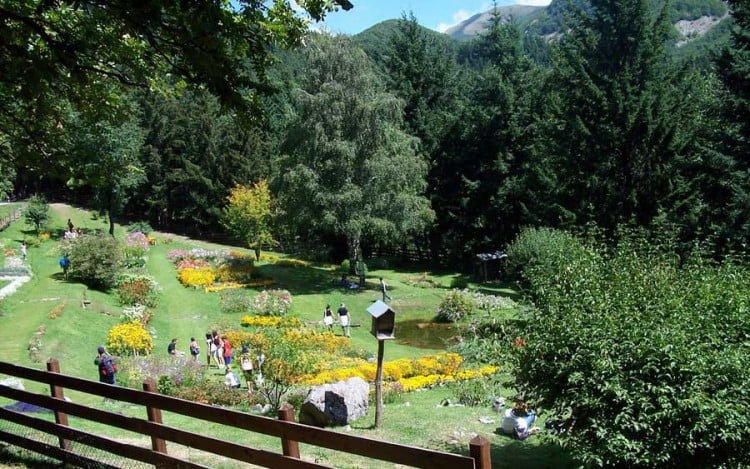 Il Giardino di Montagna del Parco dell'Orecchiella in Garfagnana, Toscana