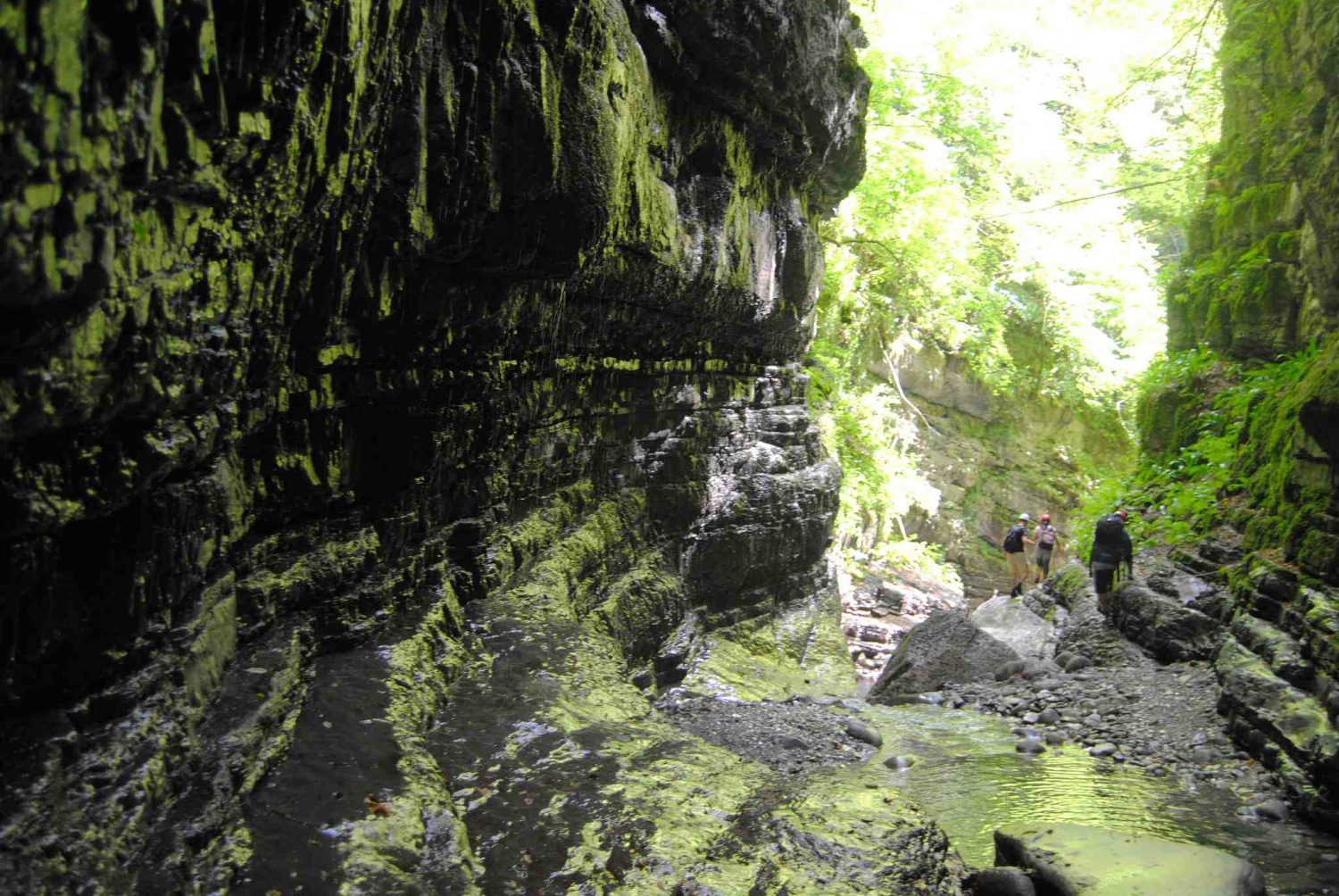 L'Orrido di Botri è una riserva naturale e oasi di protezione fauna in Garfagnana dov'è possibile praticare trekking e risalire il Rio Pelago