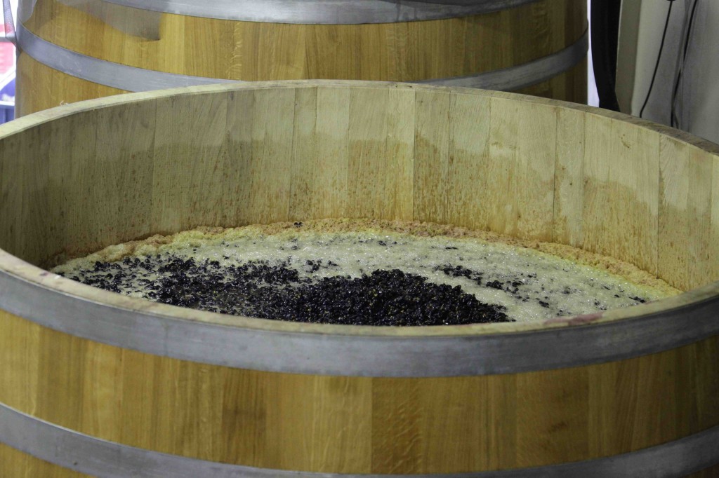 "1465" è il Pinot Nero del Podere Fortuna che ha vinto i "Tre Bicchieri 2015" della guida del Gambero Rosso