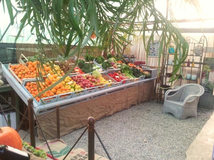 Orto del Palmi: l'orto biologico a Firenze dove comprare on line o per telefono frutta e verdura con consegna gratuita a domicilio