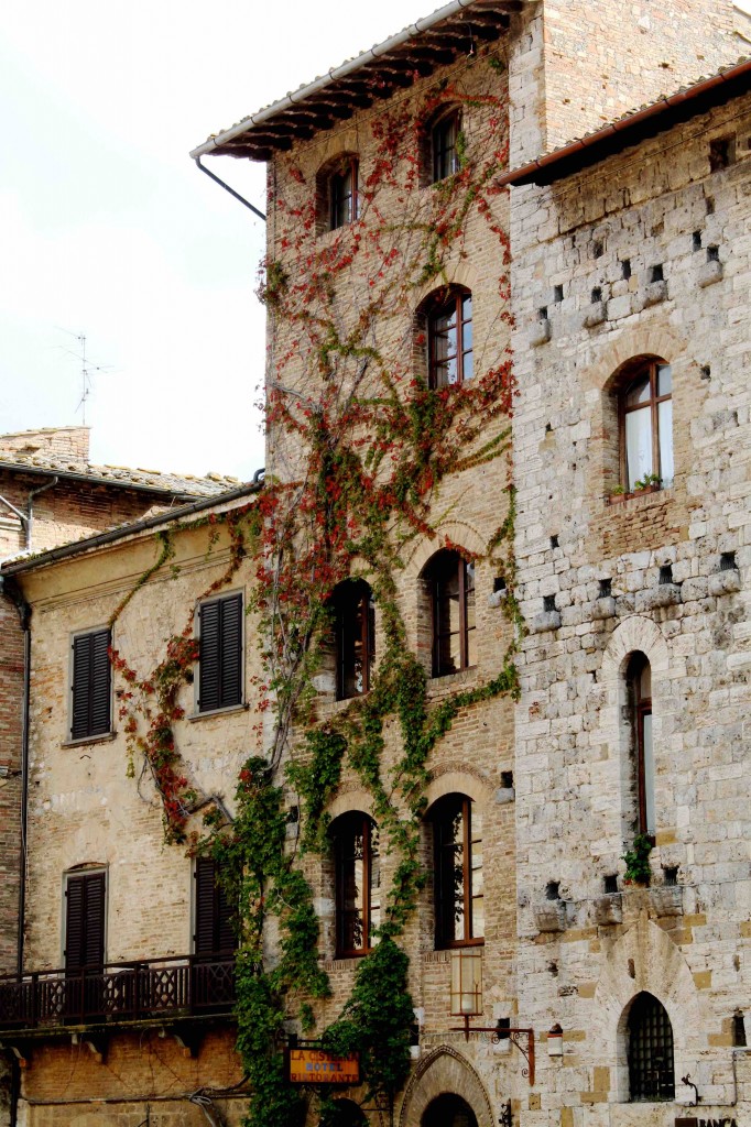 San Gimignano è famosa per le torri,ma in realtà offre molto di più al viaggiatore attento:giardini nascosti,antiche cantine,la mostra fotografica di Erwitt