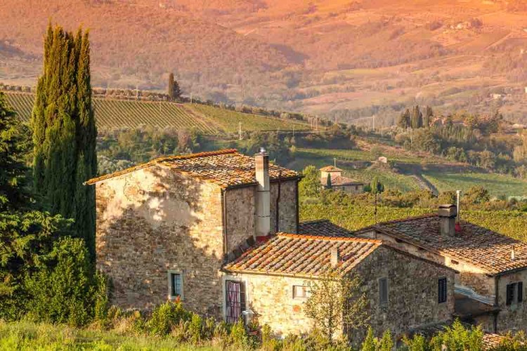 Il Consorzio Chianti Colli Fiorentini raccoglie 33 cantine del territorio fiorentino e da 20 anni rappresenta un sinonimo di qualità.