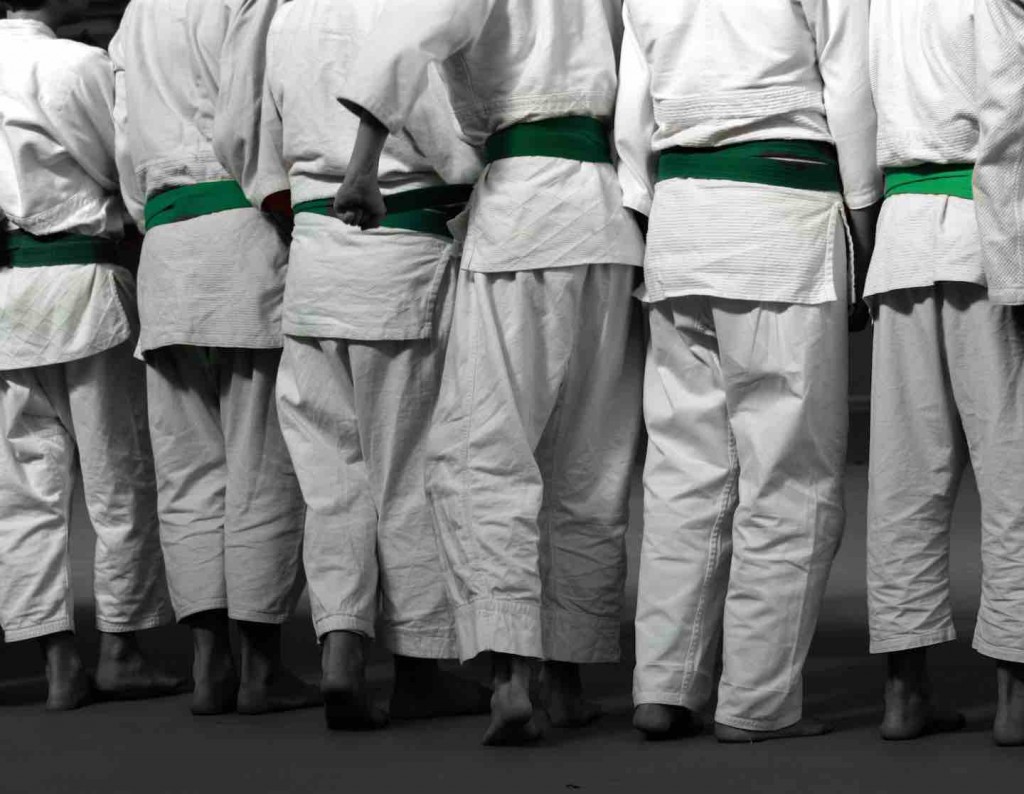 Il judo educazione è una disciplina proposta da Elena Degl'Innocenti, presidente di Judo Kwai Firenze e dall'AISE 