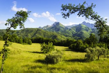 La Garfagnana è una delle zone più ricche di parchi naturali della Toscana: Parco dell'Orecchiella, Parco Avventura Selva del Buffardello e Oasi Lamastrone