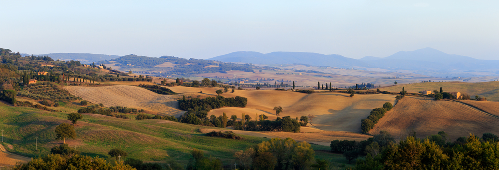 Sul Monte Labbro, in Toscana, vicino al Monte Amiata, le coccinelle vanno in letargo da ottobre a primavera, dando vita a un raro fenomeno da osservare