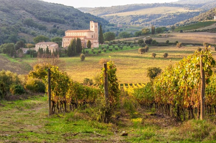 Giacomo Pondini è il presidente del Consorzio del Vino Brunello di Montalcino, vino che quest'anno celebra 50 anni e rappresenta un'eccellenza del made in Tuscany