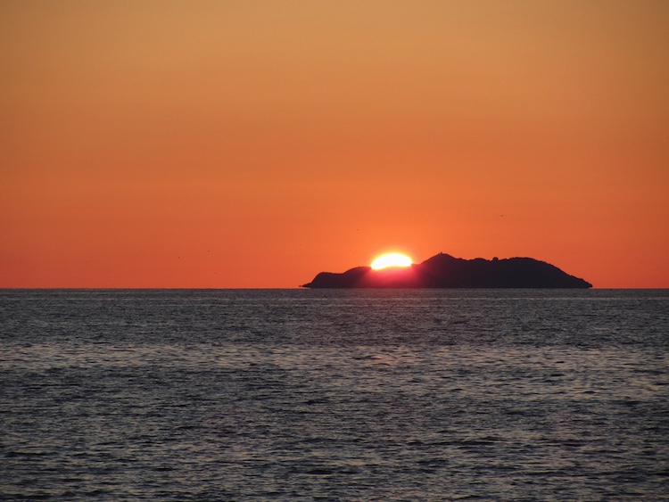 L'Isola della Gorgona, ultima isola-carcere italiana, dal 2016 è tornata accessibile ai visitatori con tour organizzati in partenza da Livorno