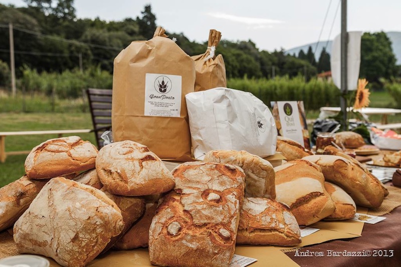 Il pane toscano è uno dei prodotti più tipici della regione. Il più famoso è il pane senza sale, ma molte sono le varietà in base alle zone