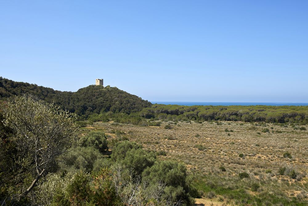 La Torre di Alberese, o Torre di San Rabano, si trova nel Parco Naturale della Maremma