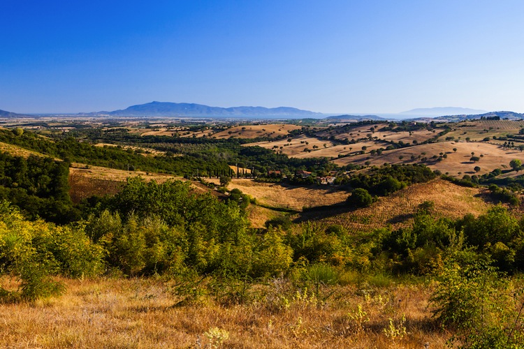 Val di Cornia in Toscana con vista su Isola d'Elba