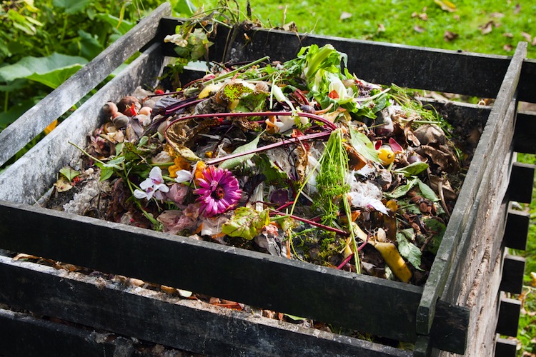 L'autunno è il momento giusto per iniziare a produrre il proprio compost home made,il miglior cibo per le piante, scopriamo insieme come fare