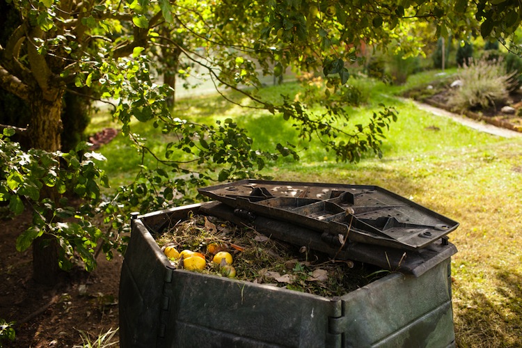L'autunno è il momento giusto per iniziare a produrre il proprio compost home made,il miglior cibo per le piante, scopriamo insieme come fare