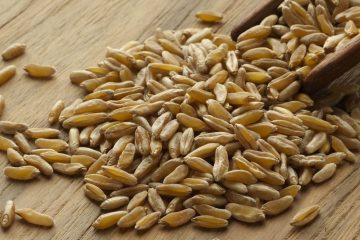 Il kamut, ovvero grano QK-77, è tra gli antichi cereali uno dei più conosciuti, grazie all'ottima strategia di marketing della famiglia Quinn