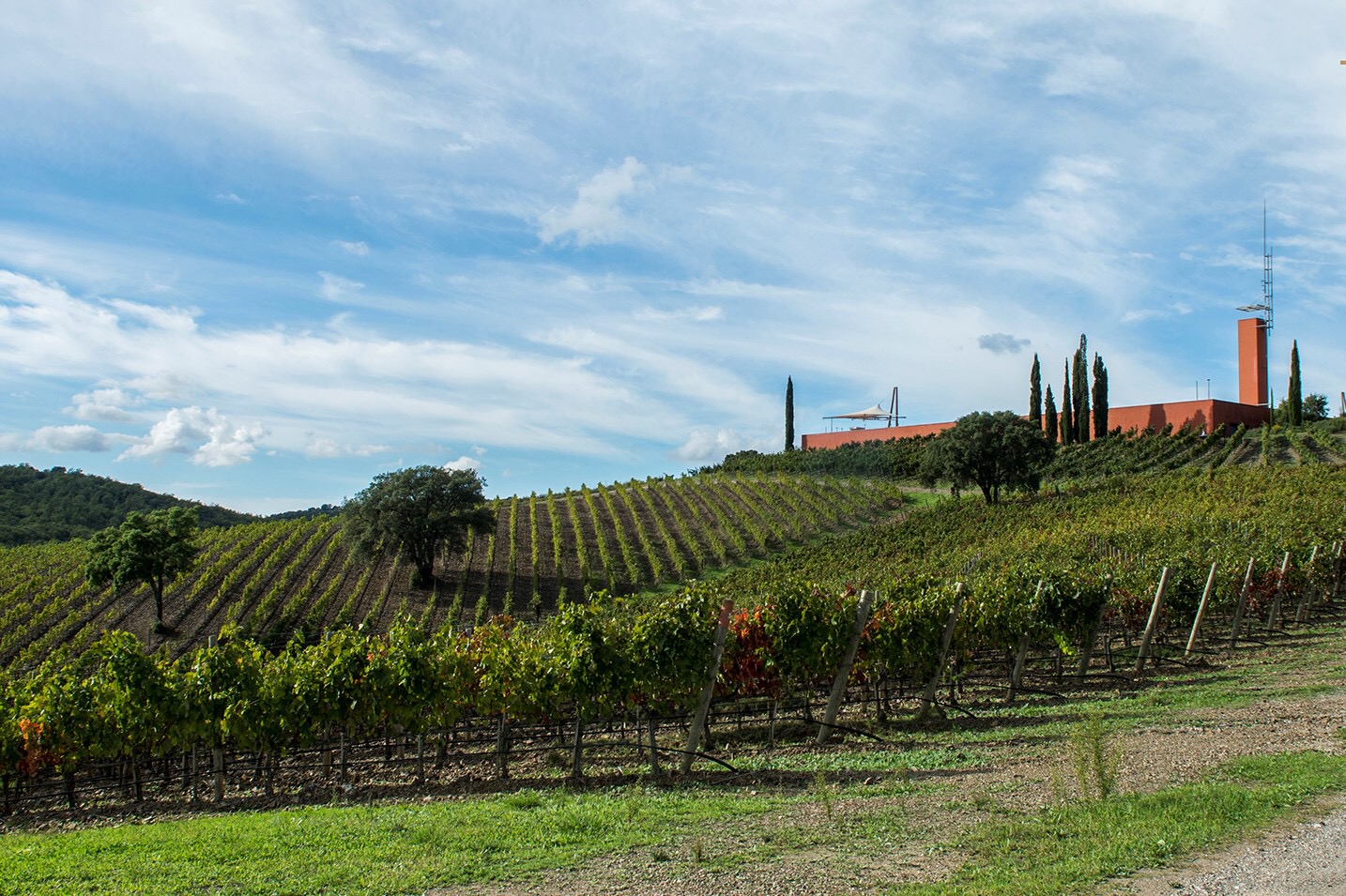 Vinitaly 2018, la manifestazione dedicata al mondo vitivinicolo mondiale più importante di Italia, è giunta quest'anno alla sua 52° edizione.