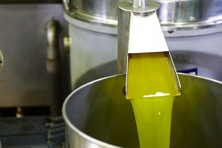 L'olio toscano è uno dei prodotti di eccellenza dell'enogastronomia della Toscana.Conosciuto in tutto il mondo, scopriamo come viene prodotto.