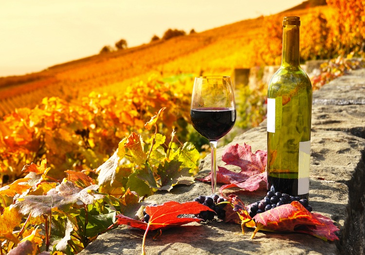 I sapori d'autunno in Toscana hanno gusti intensi legati alla terra e alle tradizioni: vino novello, castagne, olio e tartufo bianco