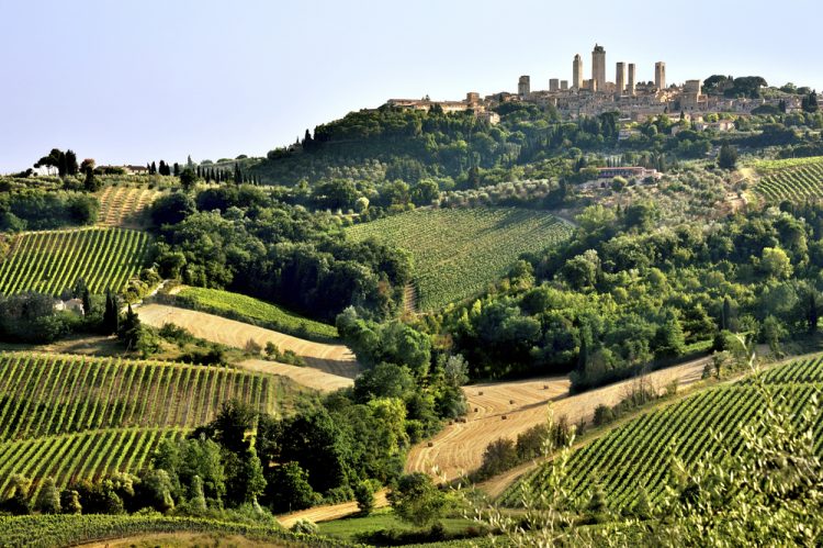 14 Strade del Vino in Toscana: itinerari unici che permettono di conoscere la vera anima del made in Tuscany in una Real Tuscan Experience.