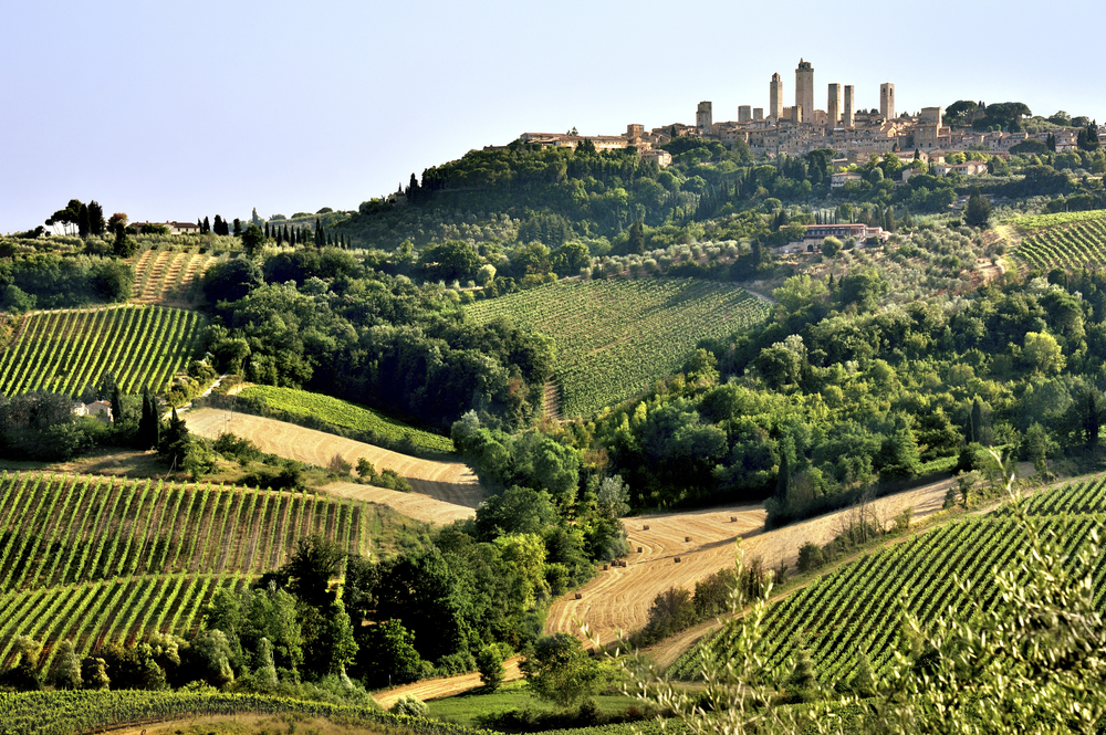 Ogni anno in Toscana cresce il numero di imprese che fanno dell'agricoltura biologica e del rispetto per la terra la loro filosofia aziendale