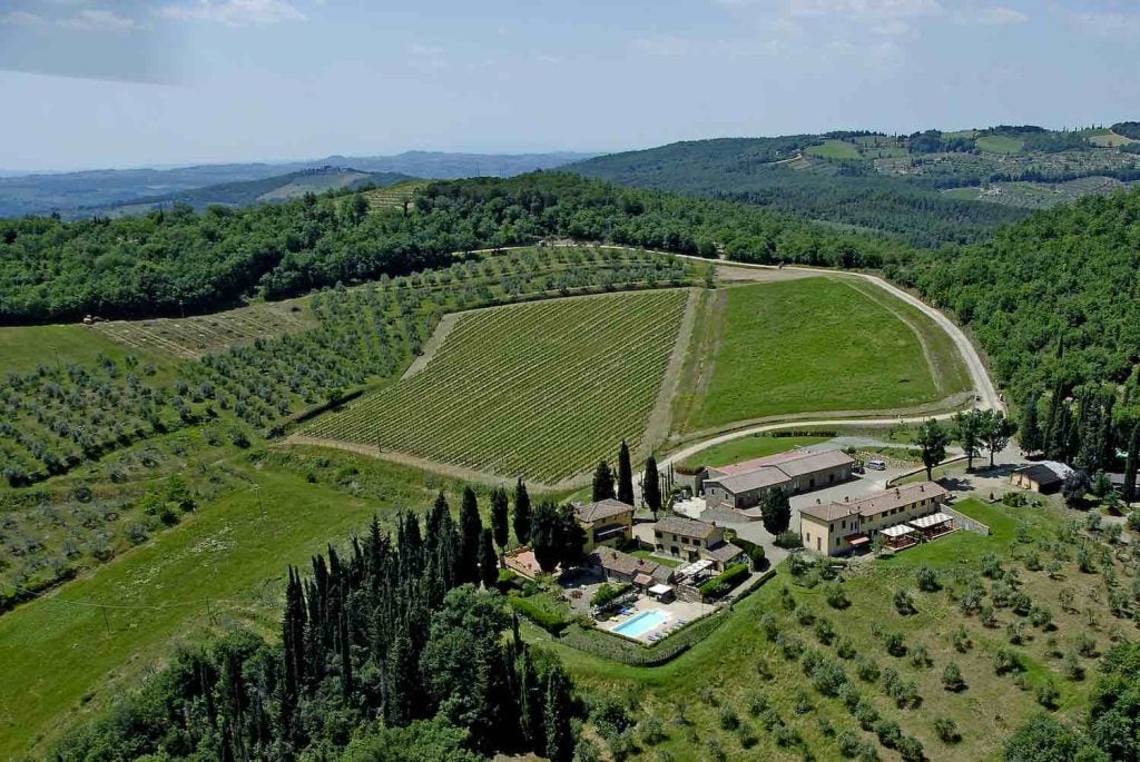 L'Azienda Agricola Panzanello, certificata biologica , si trova a Panzano in Chianti, produce vino e olio, è un agriturismo e organizza degustazioni.