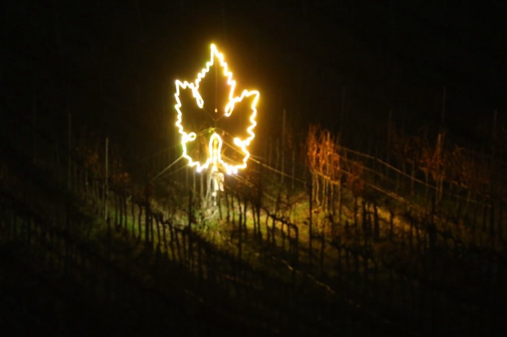 Luci in Vigna è un'installazione che omaggia il connubio tra uomo e natura illuminando le vigne di Villa Cerna nel Chianti con luci di Natale