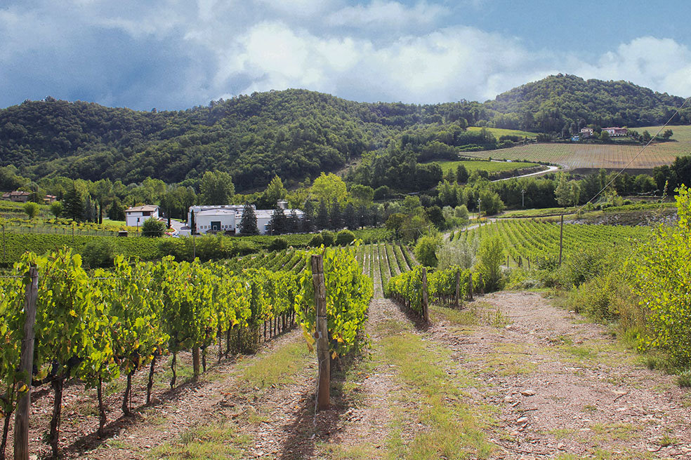 Tour di Cantine Aperte 2017 con le aziende vitivinicole toscane selezionate da TuscanyPeople, dal Chianti a Lucca, dalla Maremma a Montalcino