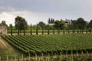 La Tenuta Sette Ponti si trova nel Valdarno di Sopra, in Toscana, e tra le sue etichette conta vini di pregio quali il Crognolo e l'Oreno