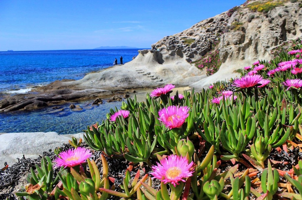 6 delle più belle spiagge dell'Isola d'Elba le meno conosciute e meno frequentate dal turismo di massa, veri paradisi dell'Arcipelago Toscano