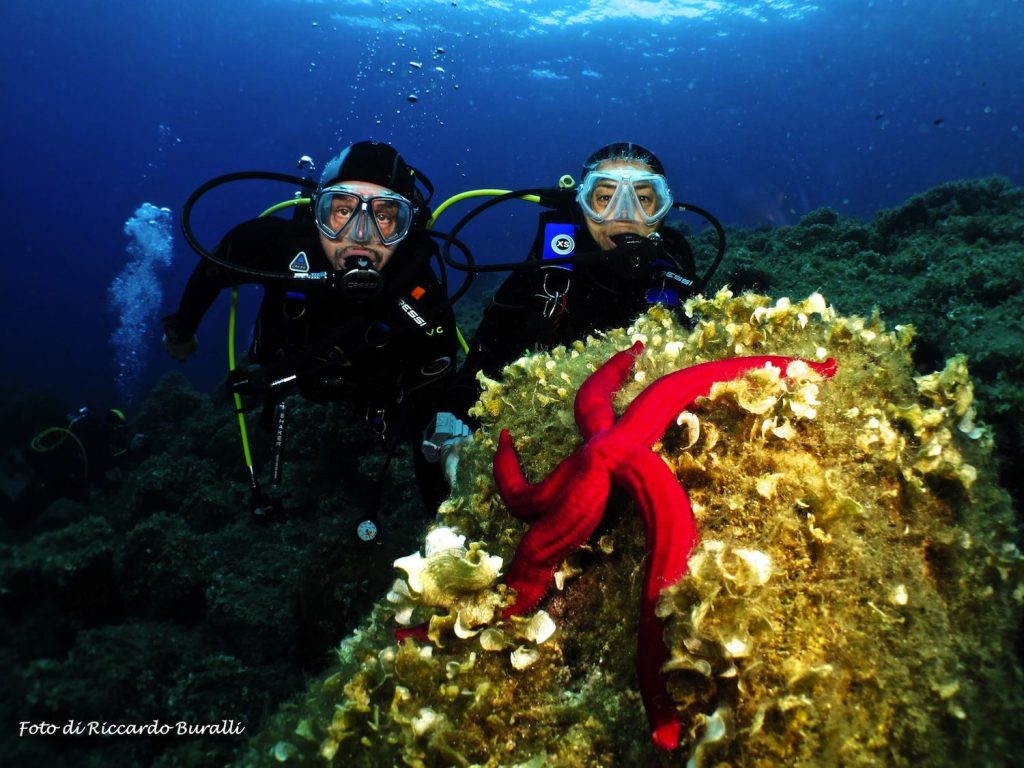 Praticare diving all'Isola d'Elba permette di scoprire i paradisi marini dell'Arcipelago Toscano, grazie al CED il Consorzio Elbano Diving