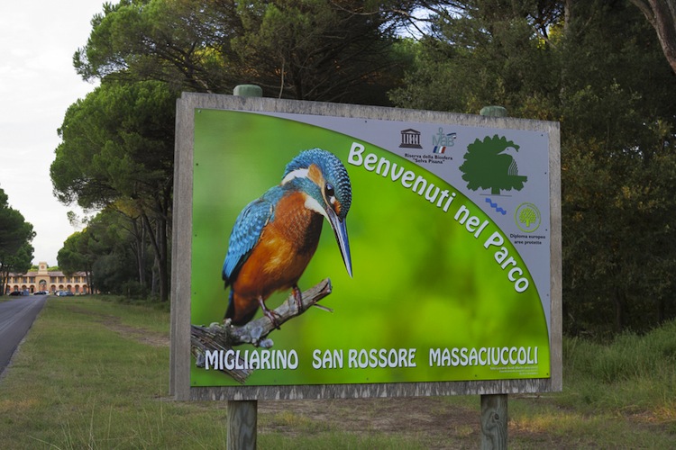 Il Parco Naturale Migliarino, San Rossore e Massaciuccoli è una meta imperdibile per gli amanti di trekking e turismo naturalistico in Toscana.