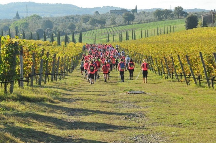 Ecomaratona del Chianti: di corsa per uno dei più bei territori toscani il 15/07/2017. Un calendario ricco di eventi per scoprire la Toscana
