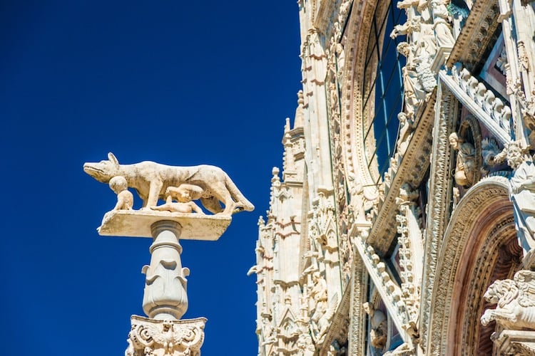 Scopriamo perché Siena ha la lupa come simbolo della città