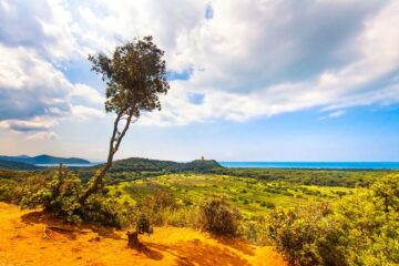 La Maremma toscana si divide in 2 grandi macro aree: la Maremma Pisana o Alta Maremma e la Maremma Grossetana, comunemente detta solo Maremma.