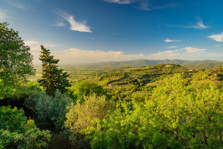 Le Oasi del WWF in Toscana sono in tutto 17 diffuse su tutto il territorio: dalla Bassa Maremma alla Versilia fino all'Appennino Pistoiese