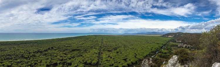 L'Oasi San Felice è un'oasi del WWF nella Maremma grossetana. Si trova tra la Riserva Naturale della Diaccia Botrona e Marina di Grosseto