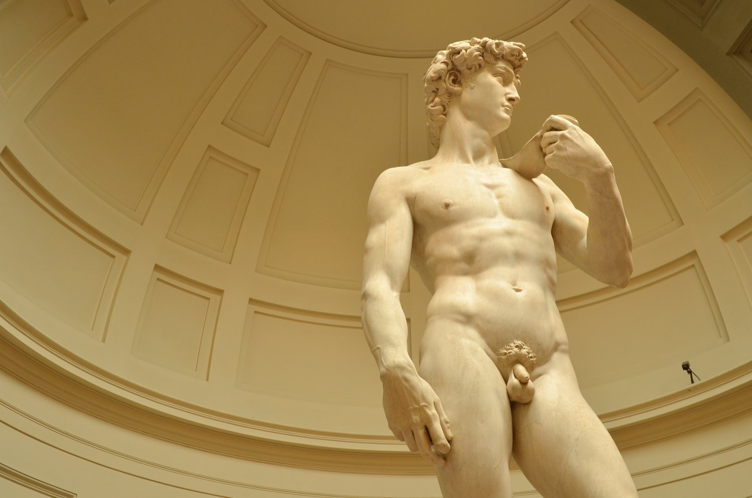 Il David di Michelangelo si trova presso la Galleria dell'Accademia di Firenze, il quarto museo in Italia per numero di visitatori.