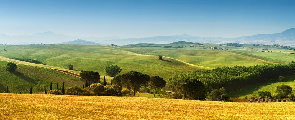A Firenze il primo master mondiale su "Agricultural Heritage Systems" del programma GIAHS della FAO per i nuovi manager del paesaggio agrario