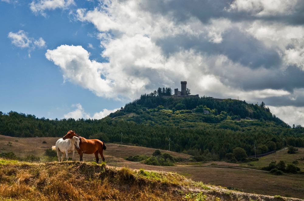 Radicofani è tra i borghi toscani più belli da visitare in provincia di Siena, con la sua posizione dominante sulla Val d'Orcia e la via Francigena