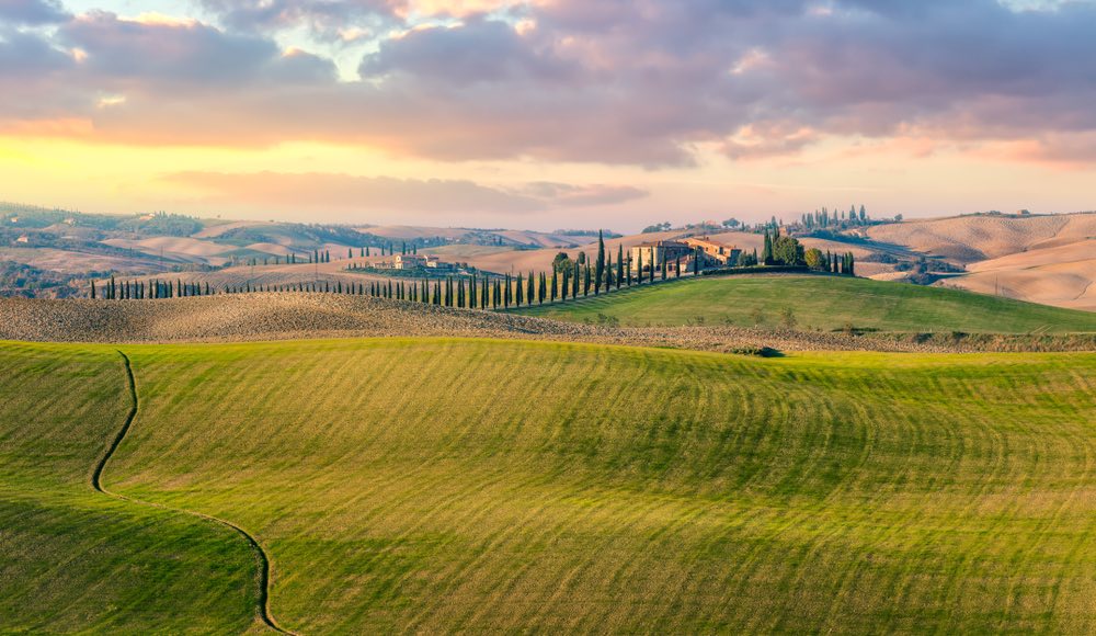 A Firenze il primo master mondiale su "Agricultural Heritage Systems" del programma GIAHS della FAO per i nuovi manager del paesaggio agrario