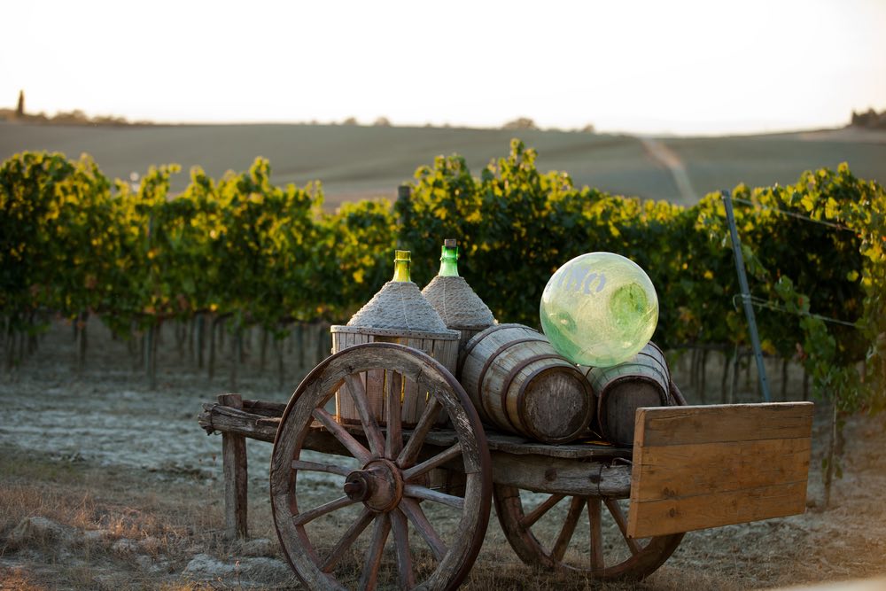 Il Biodistretto del Chianti è un'area geografica votata alla produzione di vini biologici e occupa il 30% di tutta la superficie agricola coltivata.