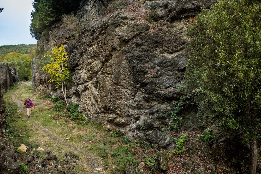 La Riserva Naturale Foresta del Berignone in Val di Cecina, nell'area di Volterra, è una meta ideale per gli amanti del trekking nella natura più incontaminata.