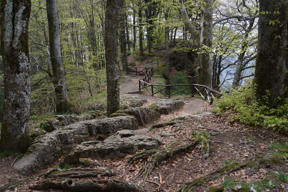 Il Sentiero delle Foreste Sacre è un itinerario del Parco Nazionale delle Foreste Casentinesi che si conclude al Santuario de La Verna