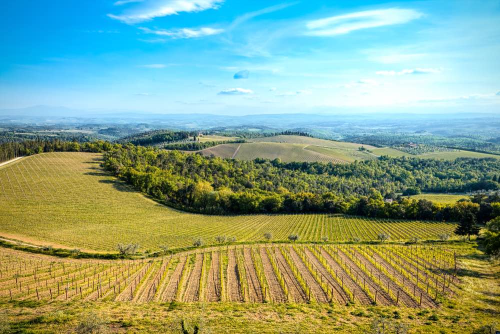 Panorama nel territorio di Gaiole in Chianti tra vigne, boschi e cielo blu